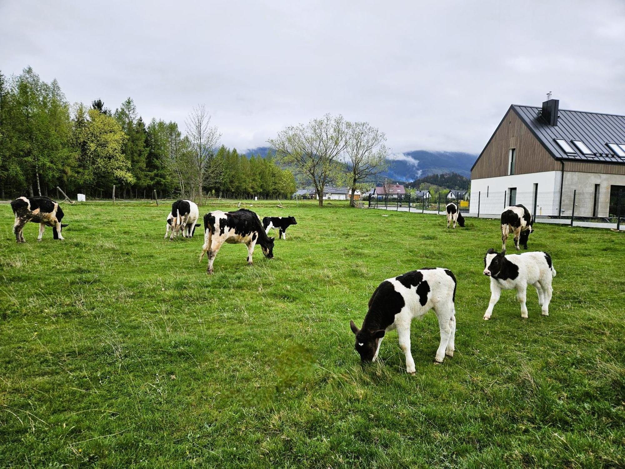 Zacisze W Karkonoszach Vila Karpacz Exterior foto